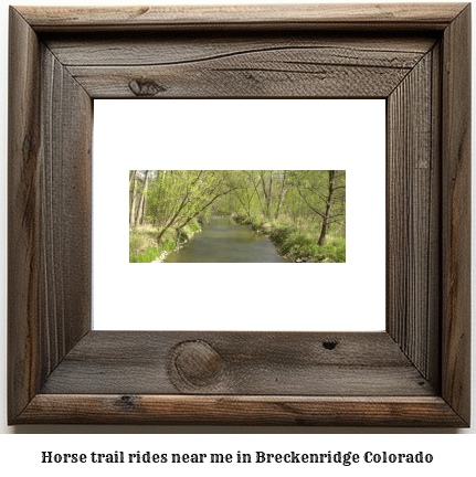 horse trail rides near me in Breckenridge, Colorado